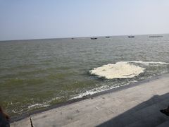 -刘家湾赶海园