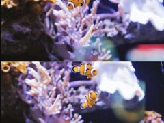 -南昌海洋公园