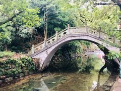 -宁波五龙潭景区