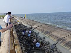 -东疆建设开发纪念公园