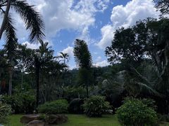 -深圳仙湖植物园