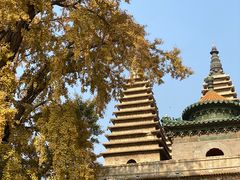 -北京石刻艺术博物馆(五塔寺)