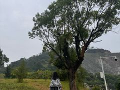 -水濂山森林公园