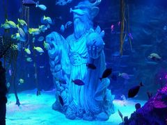 -沈阳海洋探索中心