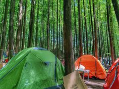 -山王坪喀斯特国家生态公园