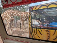 -清迈夜间动物园