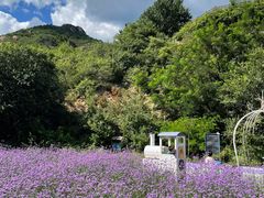 -云峰山自然风景区
