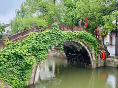-鲁镇