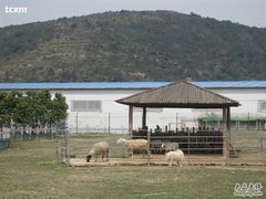 IMG_4442-苏州太湖西山岛开心农场
