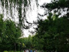 -西海子公园