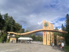 -五营红松林海景区