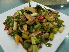 小葱拌假鲍鱼-域乐楼清真饭庄(华北路店)