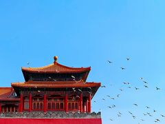 -故宫博物院(故宫)