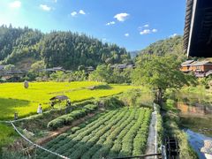 -程阳八寨景区