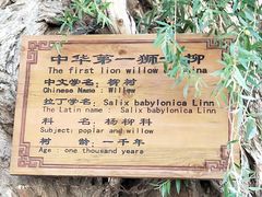 -暖泉古镇