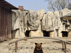 -沈阳森林动物园