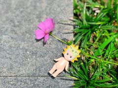 -漩门湾国家湿地公园