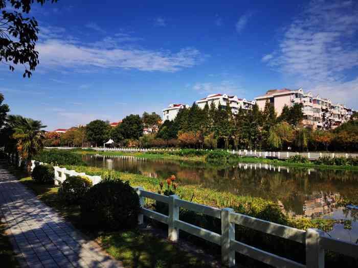 普陀体育公园-"这里一年比一年弄得好了 记得第一次去觉得.