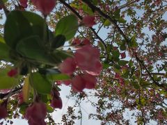 -大兴滨河森林公园