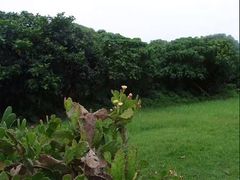-鹅銮鼻公园