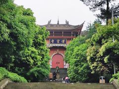 -铁山坪森林公园