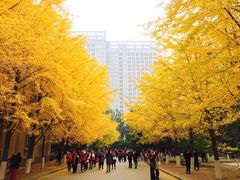 -辽宁大学(崇山校区)