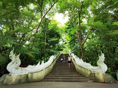 -西双版纳总佛寺