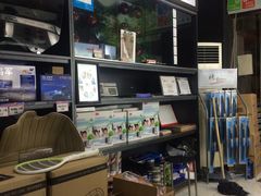 -龙膜膜方汽车贴膜隐形车衣汽车改色(河东店)
