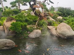 -罗红摄影艺术馆