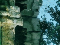 -广州长隆野生动物世界