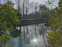 -西溪国家湿地公园