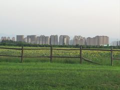 -汉长安城未央宫国家考古遗址公园