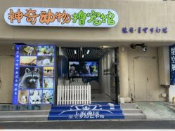 -神奇动物撸宠馆·羊驼·小浣熊·异宠(豫园店)