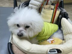 -美联众合动物医院·24h转诊中心