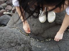 -漳州滨海火山岛自然生态风景区