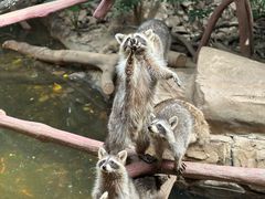 -长鹿旅游休博园