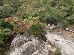 -府君山公园