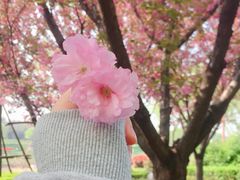 -洨河生态公园