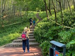 -紫金山山顶公园