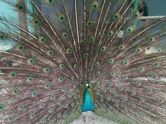 -瑞博尔花园酒店(太周创新产业园店)