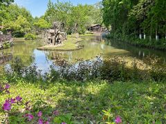 -上海野生动物园