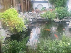 -鲤院·新中式美学·庭院餐厅(夫子庙店)