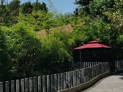 -千滋百味·醉江澜花园餐厅(街道口店)