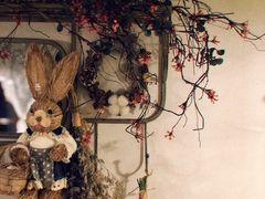 -春风·有糖(崇宁路店)