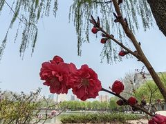 -中国农业博物馆