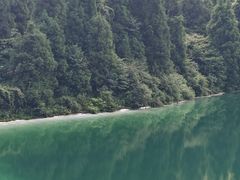 -武陵山森林公园