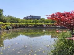 -嘉定紫藤园