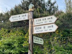 -泰山风景名胜区