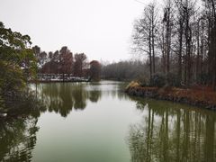 -上海海湾国家森林公园