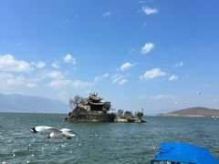-小普陀